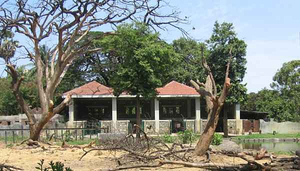 A sorry sight in Elephant enclosure