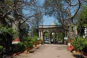 Entrance with two grand Baobaabs sentinels