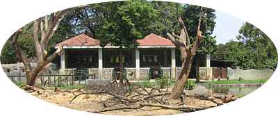 Trees cut in elephant enclosure in May 2006